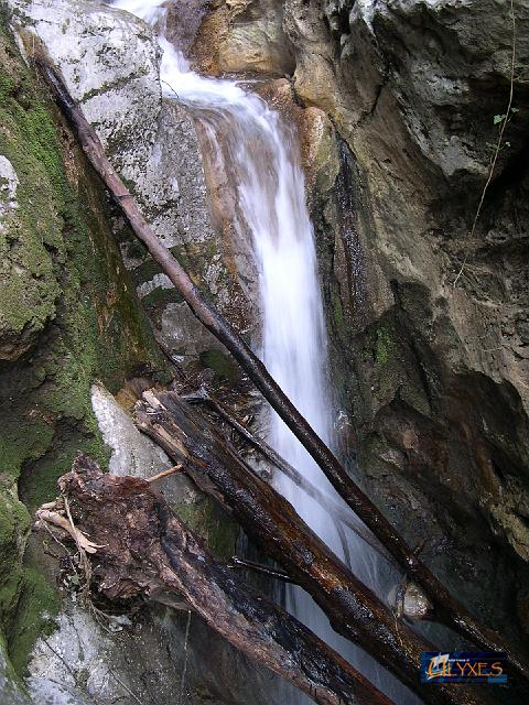 tronchi e acqua.JPG